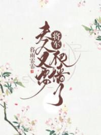 将军，夫人又要爬墻了秦珂赫连钦封面