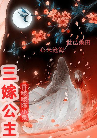 三嫁公主封面