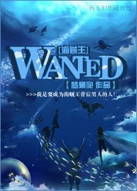 [海贼王]WANTED封面
