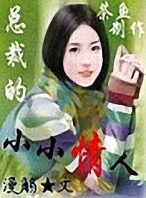 总裁的小小情人封面