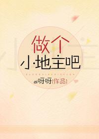 做个小地主吧封面