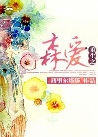 重生之森爱封面