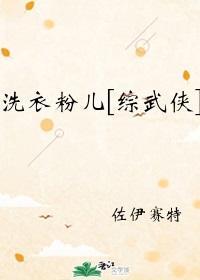 洗衣粉儿[综武侠]封面