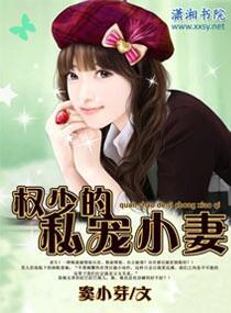 权少的私宠小妻封面