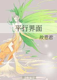 平行界面封面
