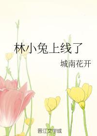 林小兔上线了封面