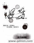 怪盘封面