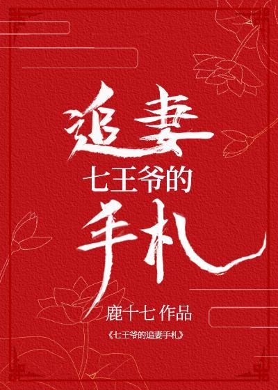 七王爷的追妻手札封面