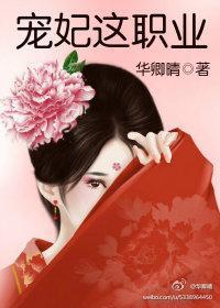 宠妃这职业封面