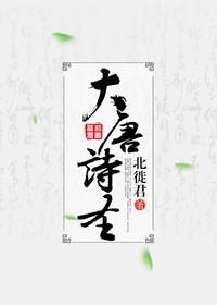 大唐诗圣封面