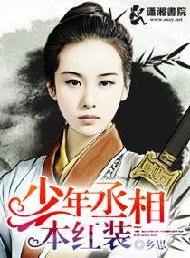 少年丞相本红装封面