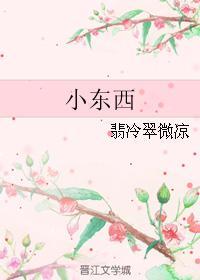 小东西封面