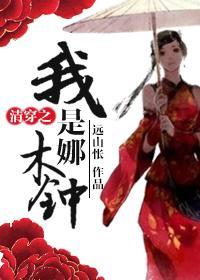 清穿之我是娜木钟封面