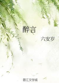 醉言封面