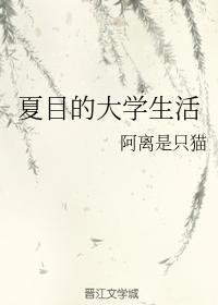 夏目的大学生活封面