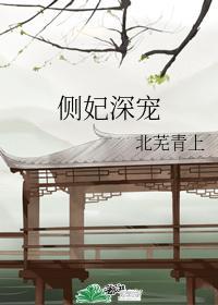 侧妃深宠封面