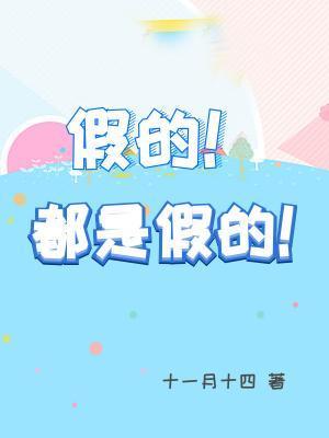 假的!都是假的!封面
