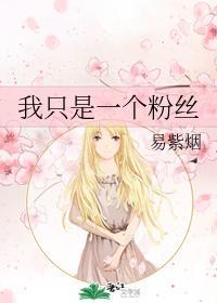 我只是一个粉丝封面