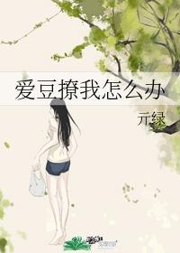 爱豆撩我怎么办封面