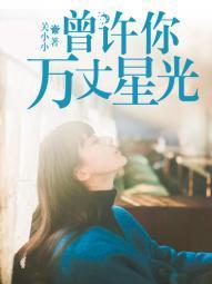 曾许你万丈星光封面