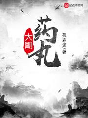 大朙药丸封面