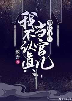 我不认真当官儿的这几年封面