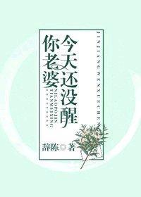 你老婆今天还没醒封面