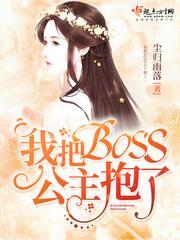 我把BOSS公主抱了封面