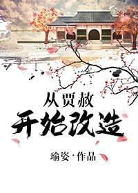 从贾赦开始改造封面