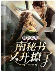 报告总裁:南秘书又开撩了封面