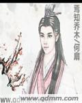 焉知乔木封面