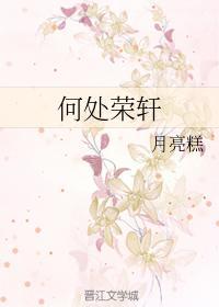 何处荣轩封面