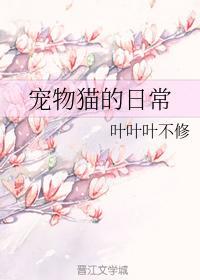 宠物猫的日常封面