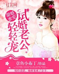 甜婚蜜爱：试婚老公轻轻宠封面