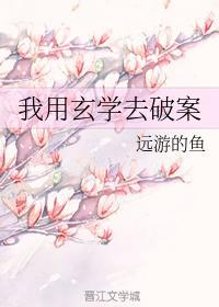 我用玄学去破案封面