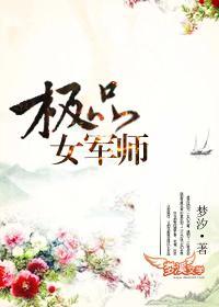 极品女军师封面