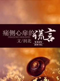 痛侧心扉的谎言封面