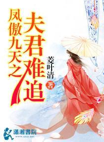 凤傲九天之夫君难追封面