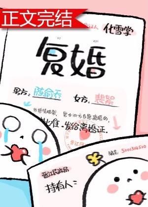 覆婚封面
