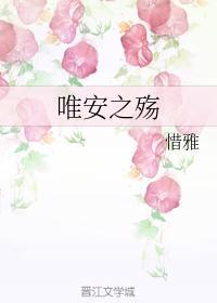 唯安之殇封面