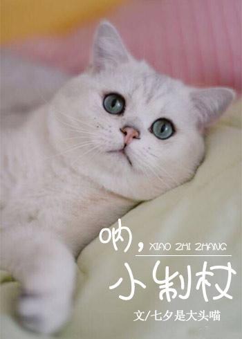 吶,小制杖封面