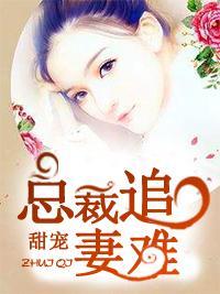 甜宠：总裁追妻难封面