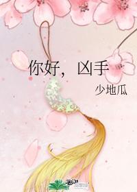 你好,凶手封面