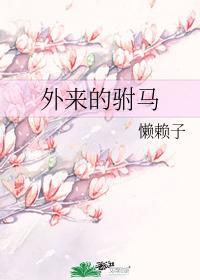 外来的驸马封面