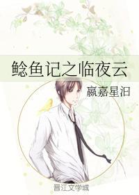 鲶鱼记之临夜云封面
