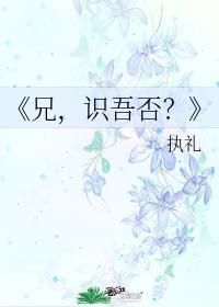 兄,识吾否?封面