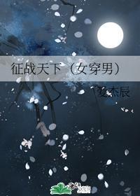 征战天下(女穿男)封面