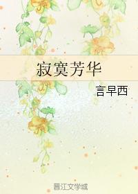 寂寞芳华封面