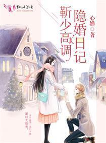 靳少高调隐婚日记封面