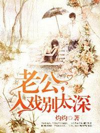 老公，入戏别太深封面